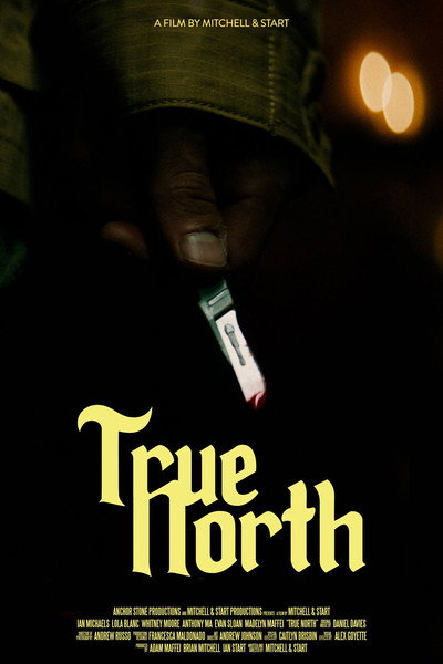 Póster de True North