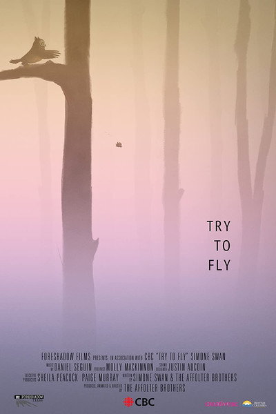 Póster de Try to Fly
