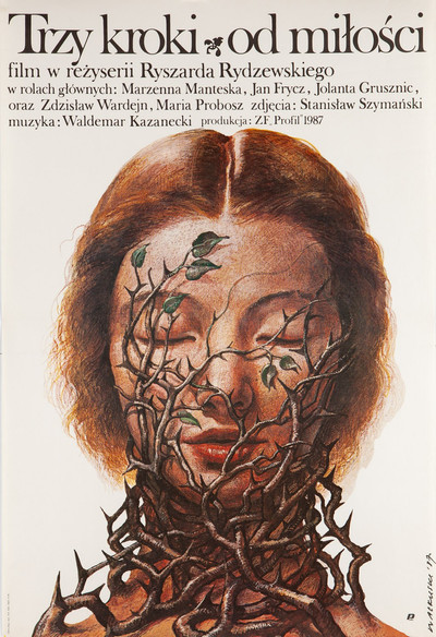 Póster de Trzy kroki od milosci