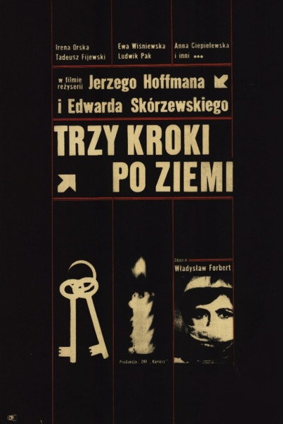 Póster de Trzy kroki po ziemi