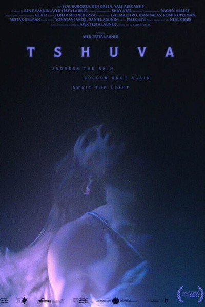Póster de Tshuva