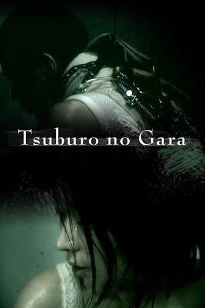 Póster de Tsuburo no gara