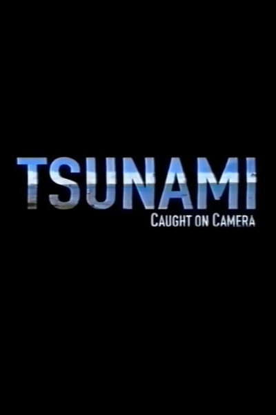 Póster de Tsunami: Caught on Camera