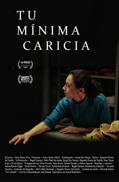 Póster de Tu Mínima Caricia