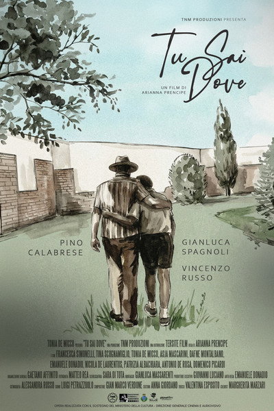 Póster de Tu sai dove