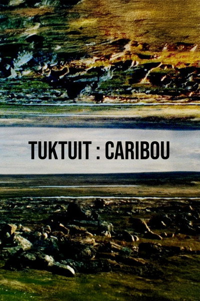 Póster de Tuktuit: Caribou