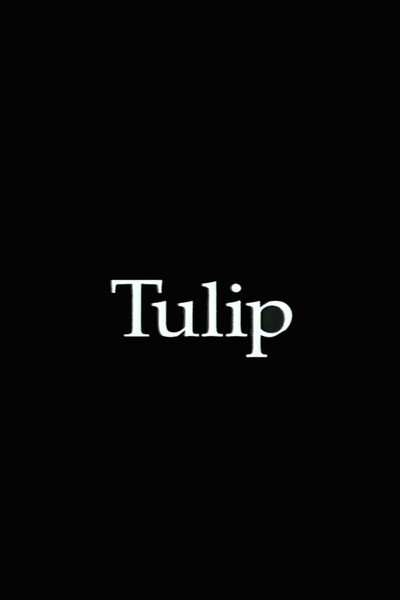 Póster de Tulip