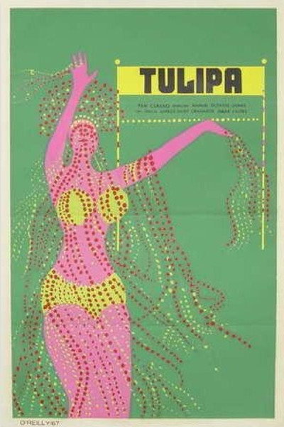 Póster de Tulipa