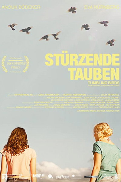 Póster de Tumbling Birds
