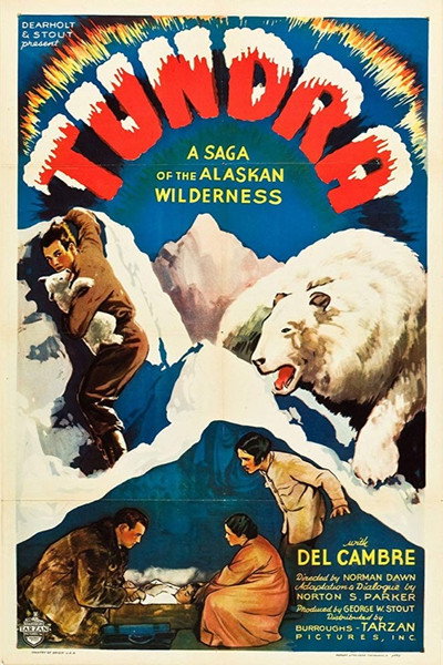 Póster de Tundra