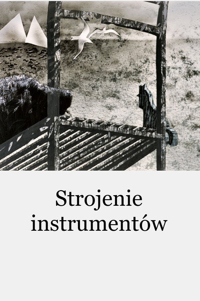 Póster de Tuning the Instruments