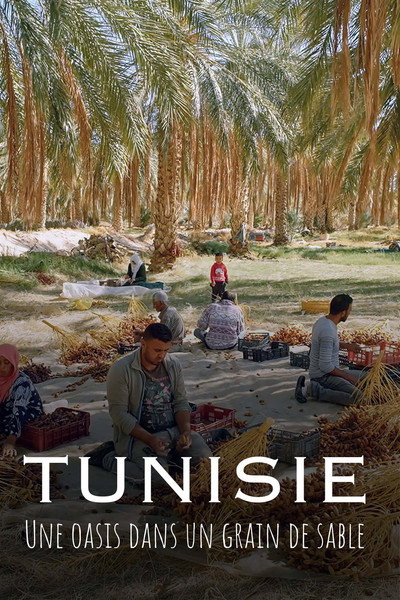 Póster de Tunisie - Une oasis dans un grain de sable