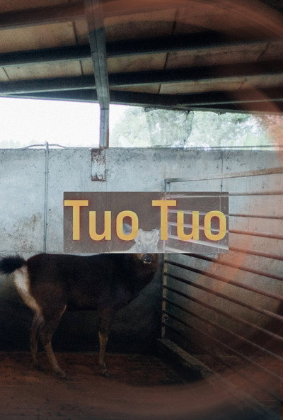 Póster de Tuo Tuo