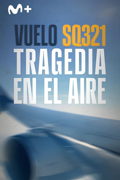 Póster de Turbulence: How Safe Is Your Flight?