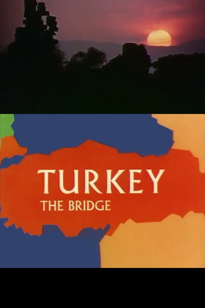Póster de Turkey the Bridge