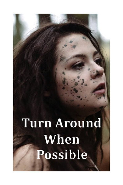 Póster de Turn Around When Possible