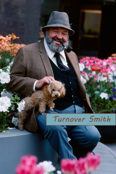 Póster de Turnover Smith