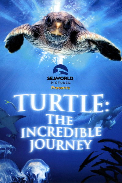 Póster de Turtle: The Incredible Journey
