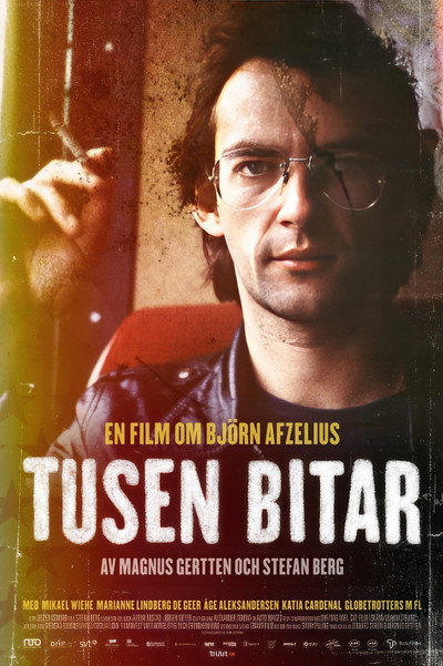 Póster de Tusen bitar