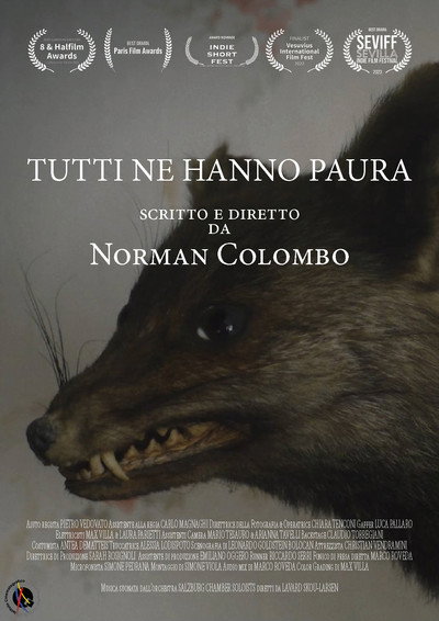 Póster de Tutti ne hanno paura