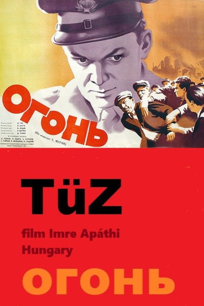Póster de Tüz