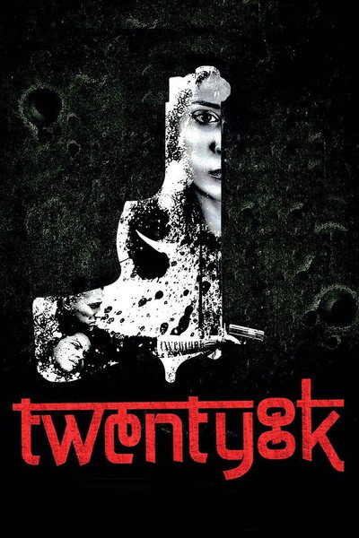 Póster de Twenty8k