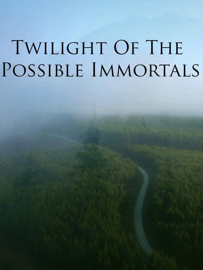 Póster de Twilight of the Possible Immortals