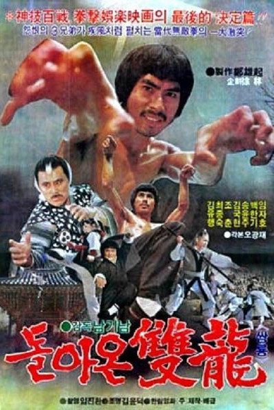Póster de Twin Dragons
