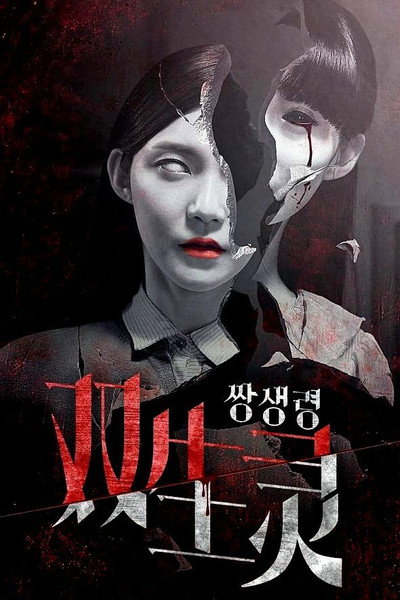 Póster de Twin Spirit