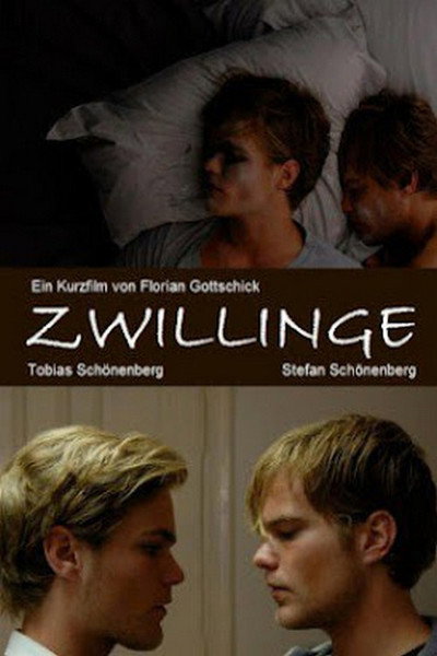 Póster de Twins