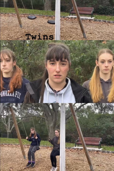 Póster de Twins
