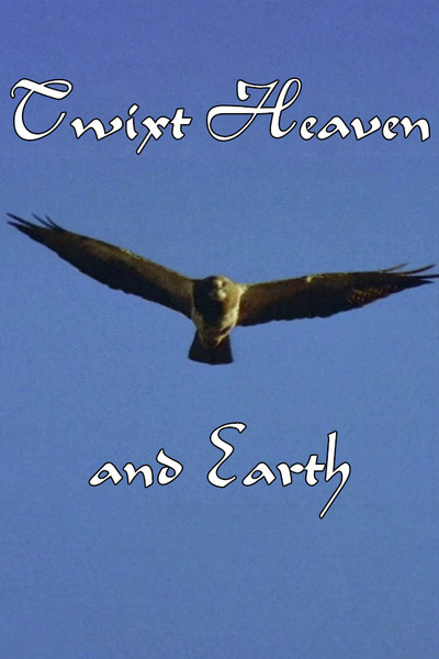 Póster de Twixt Heaven and Earth