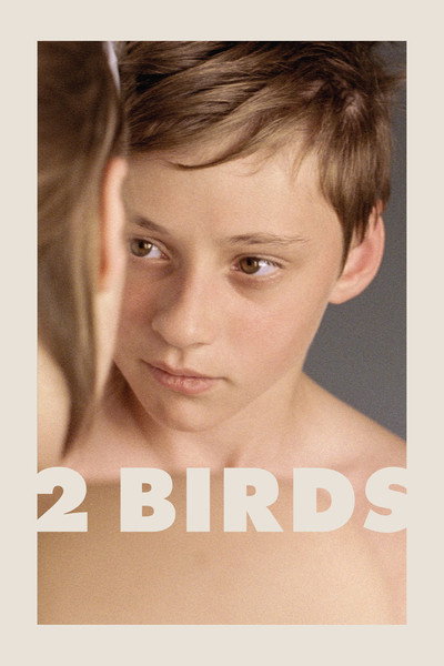 Póster de Two Birds
