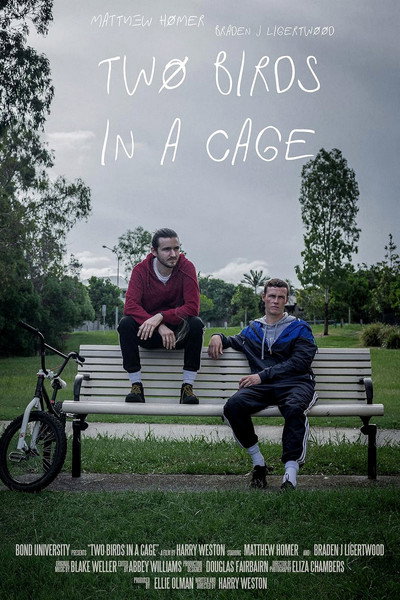 Póster de Two Birds in a Cage