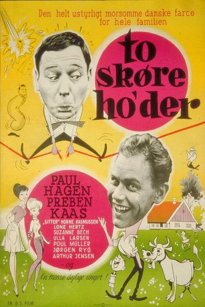 Póster de Two Crazy Guys