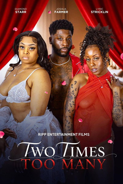 Póster de Two Times Too Many