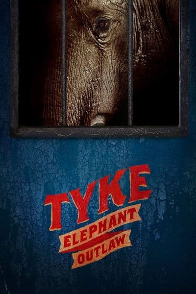 Póster de Tyke: Elephant Outlaw