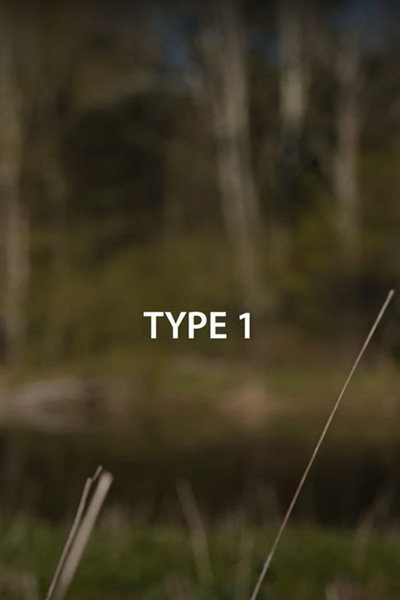 Póster de Type 1