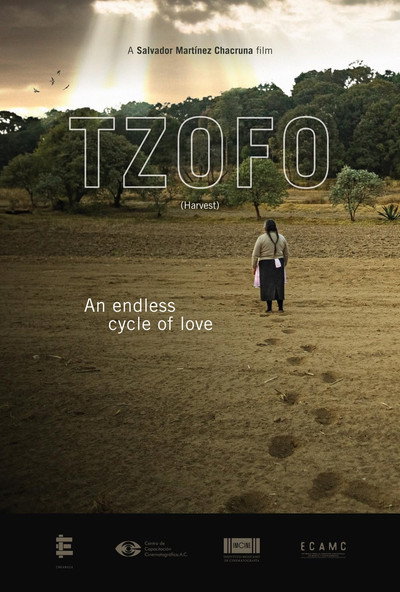 Póster de Tzofo