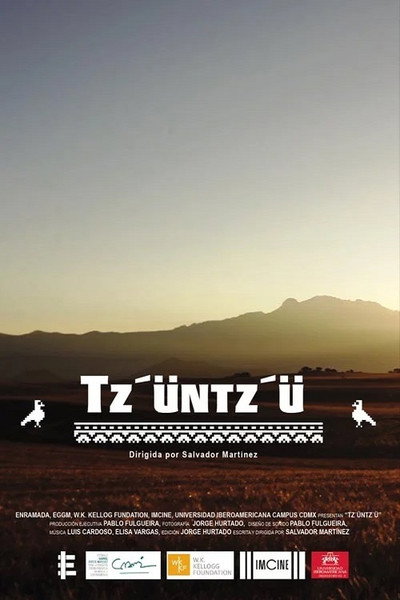 Póster de Tz'üntz'ü