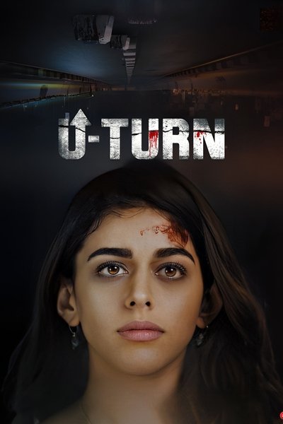 Póster de U Turn