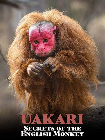 Póster de Uakari: Secrets of the English Monkey