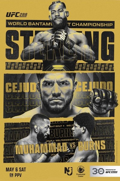 Póster de UFC 288: Sterling vs Cejudo