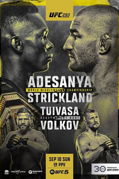 Póster de UFC 293