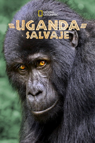 Póster de Uganda Salvaje