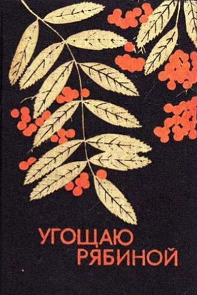 Póster de Ugoshchayu ryabinoy