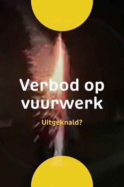 Póster de Uitgeknald?