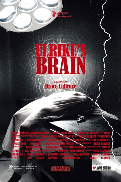 Póster de Ulrike's Brain