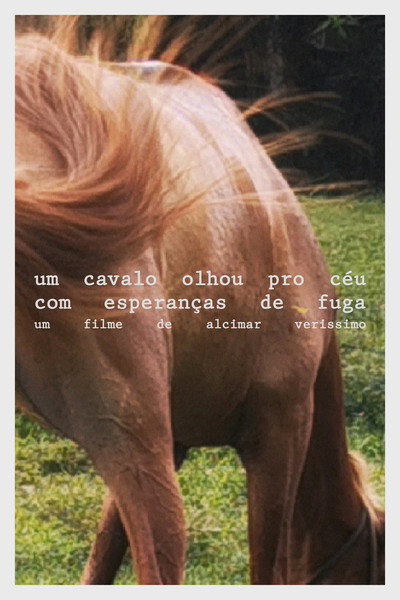 Póster de Um cavalo olhou pro céu com esperanças de fuga