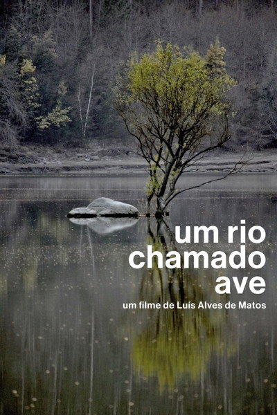 Póster de Um Rio Chamado Ave